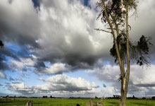 下半场戏份骤减！王俊杰8中4拿下10分4板1助 正负值为+9，王俊杰视频