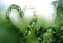 沙尔克双雄联袂建功，力克不来梅