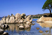 瑞典突围成功，击败乌克兰取得关键胜利