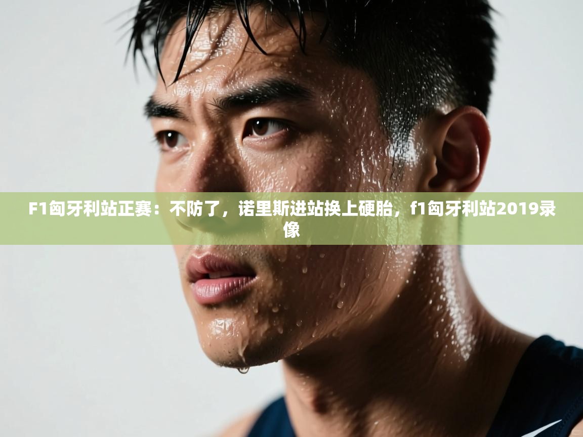 F1匈牙利站正赛:不防了,诺里斯进站换上硬胎,f1匈牙利站2019录像 第1张