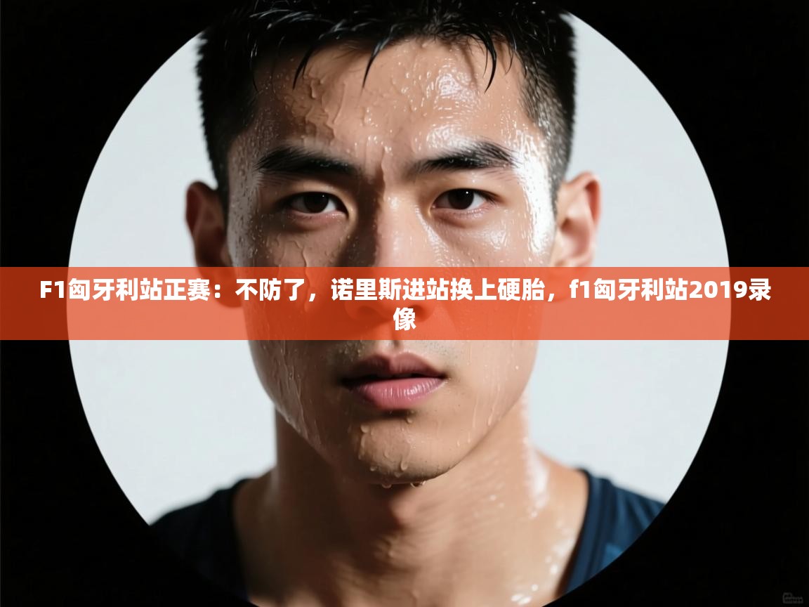 F1匈牙利站正赛:不防了,诺里斯进站换上硬胎,f1匈牙利站2019录像 第2张