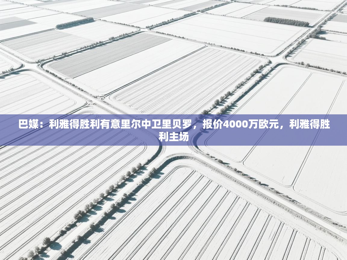 巴媒:利雅得胜利有意里尔中卫里贝罗,报价4000万欧元,利雅得胜利主场