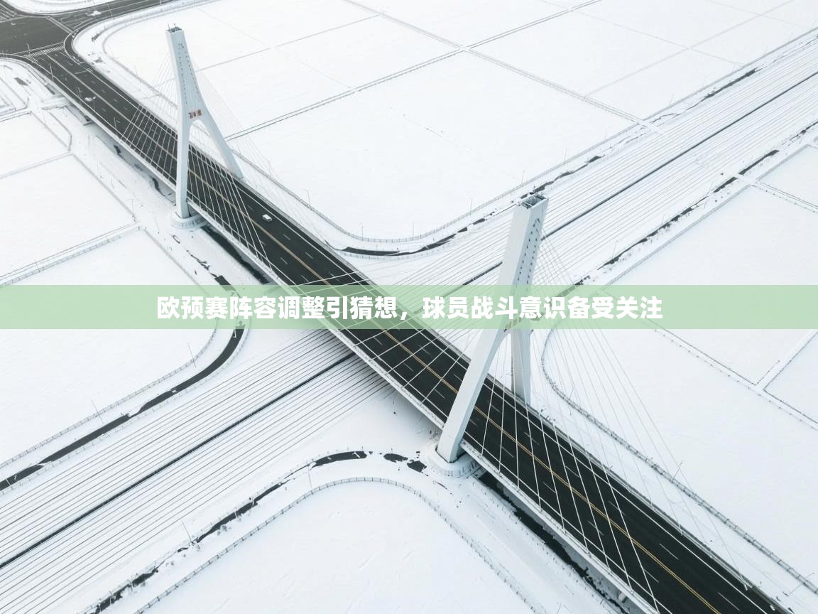 欧预赛阵容调整引猜想,球员战斗意识备受关注
